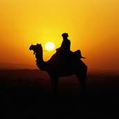 Bedouin on camel at night