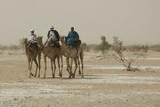 Nomads On Camels