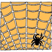 Spider in Web